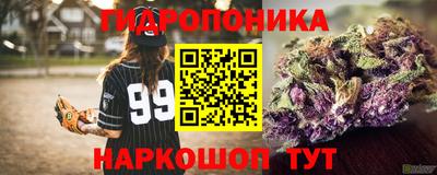 дурь Гусев